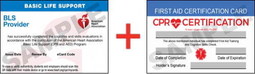 Sample American Heart Association AHA BLS CPR Card Certificaiton and First Aid Certification Card from CPR Certification Miami