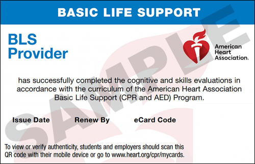 Sample American Heart Association AHA BLS CPR Card Certification from CPR Certification Miami