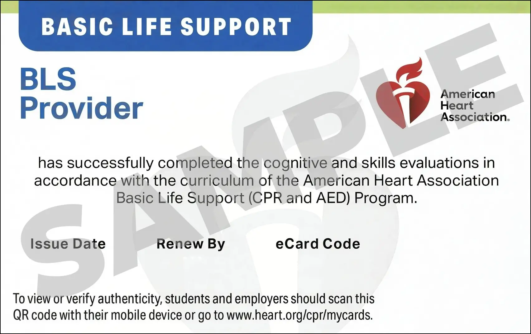 Sample American Heart Association AHA BLS CPR Card Certification from CPR Certification Miami